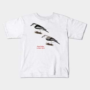 Pied Triller | Lalage nigra ⚥ Kids T-Shirt